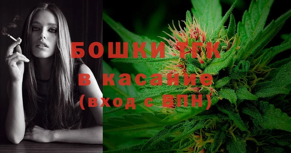 амф Белокуриха
