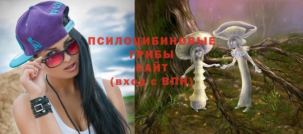амф Белокуриха