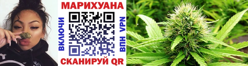 Бошки марихуана Amnesia  Туран 